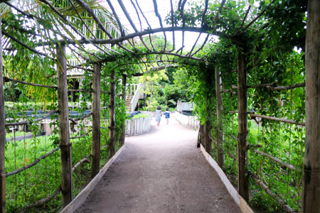 f:id:resoneko:20200424145626j:plain f:id:resoneko:20200424145626j:plain