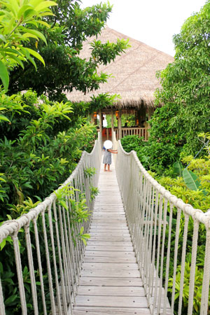 f:id:resoneko:20200424145648j:plain f:id:resoneko:20200424145648j:plain