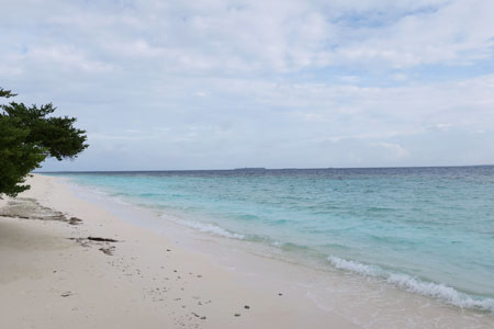 f:id:resoneko:20200516105207j:plain