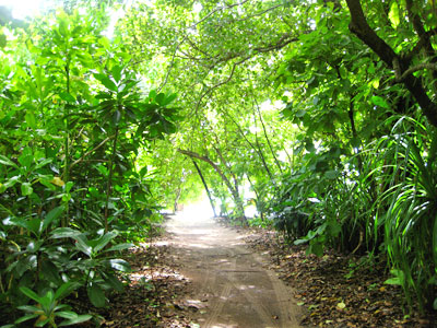 f:id:resoneko:20200516105528j:plain