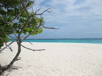 f:id:resoneko:20200516105559j:plain