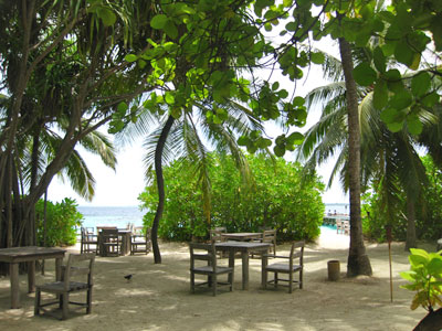 f:id:resoneko:20200516110506j:plain