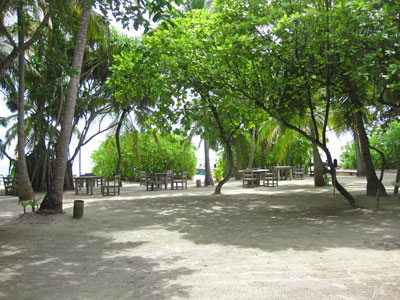 f:id:resoneko:20200516110510j:plain