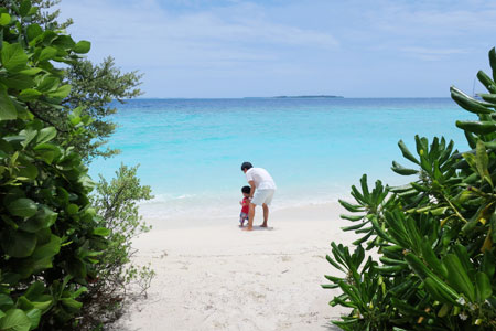 f:id:resoneko:20200516110612j:plain