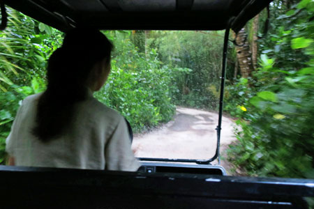 f:id:resoneko:20200516145716j:plain