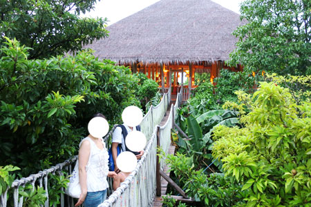 f:id:resoneko:20200516145812j:plain