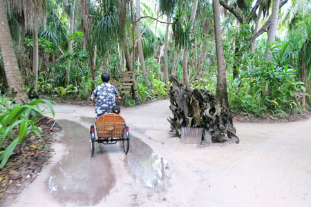 f:id:resoneko:20200516155642j:plain