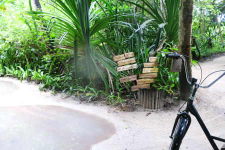 f:id:resoneko:20200516155708j:plain