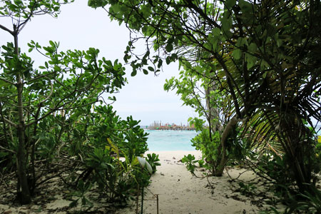 f:id:resoneko:20200516155952j:plain