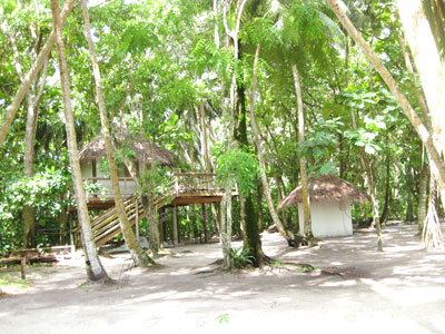 f:id:resoneko:20200516160540j:plain