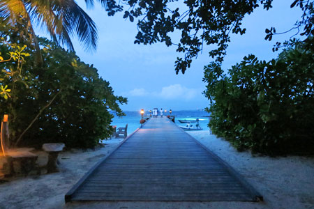 f:id:resoneko:20200516161428j:plain