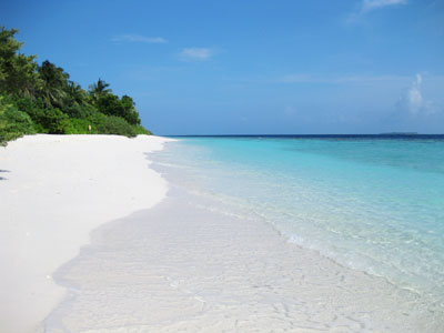 f:id:resoneko:20200519150116j:plain