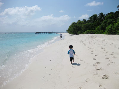 f:id:resoneko:20200519150325j:plain