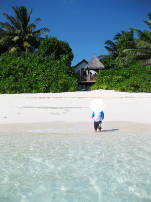 f:id:resoneko:20200519150328j:plain