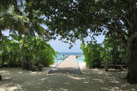 f:id:resoneko:20200519150554j:plain