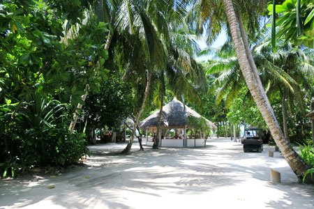 f:id:resoneko:20200519150601j:plain