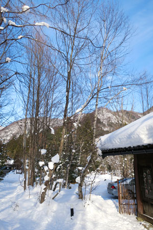 f:id:resoneko:20200720101058j:plain