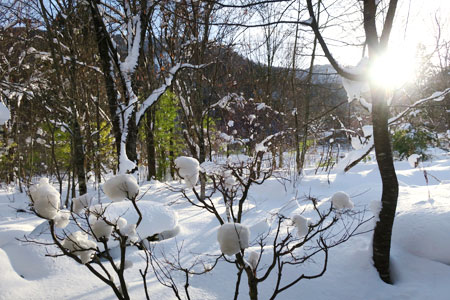 f:id:resoneko:20200720102315j:plain