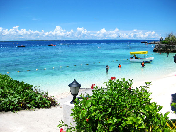 f:id:resoneko:20201016095646j:plain