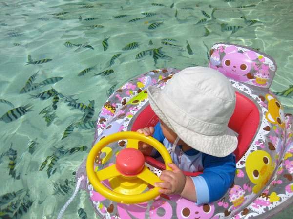 f:id:resoneko:20201027151627j:plain