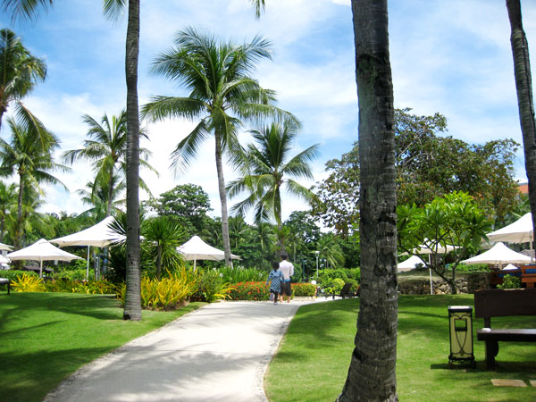 f:id:resoneko:20201027151714j:plain