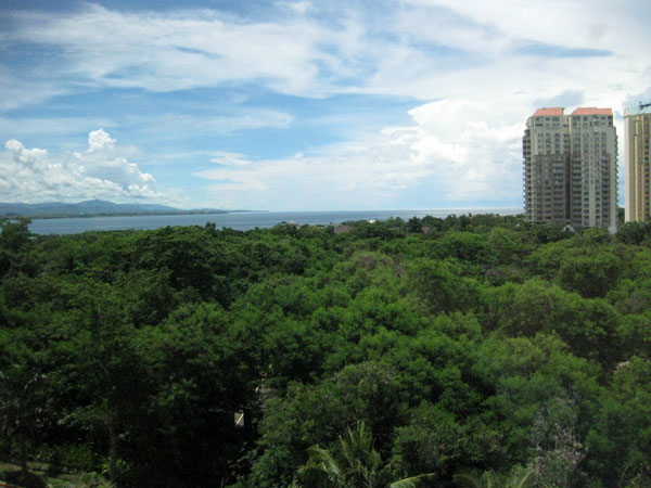 f:id:resoneko:20201027151915j:plain