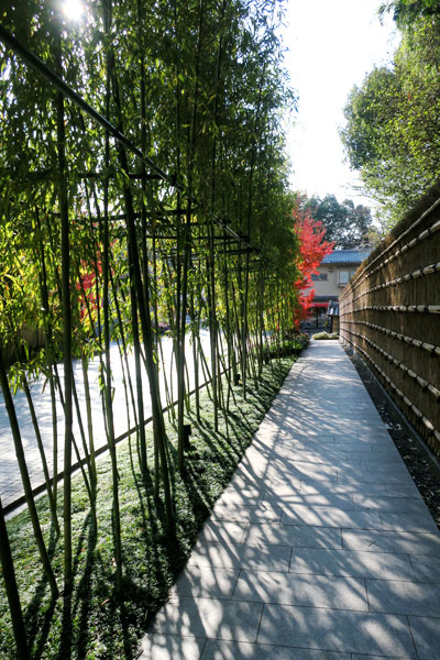 f:id:resoneko:20201218211359j:plain