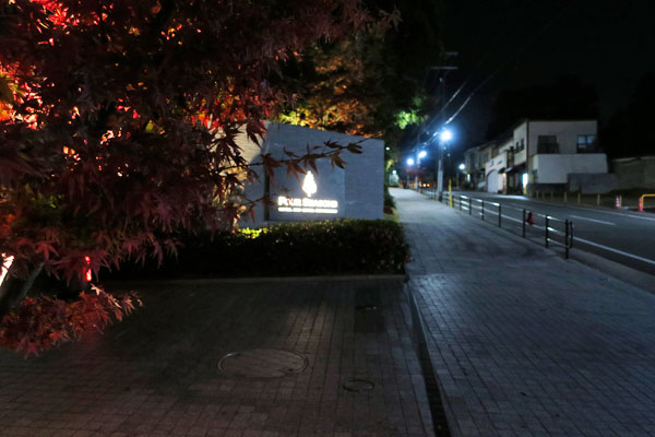 f:id:resoneko:20201224201221j:plain