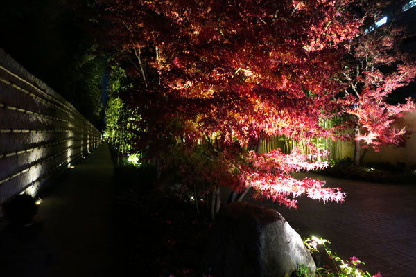 f:id:resoneko:20201224201237j:plain