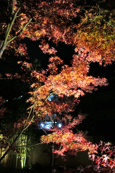 f:id:resoneko:20201224201251j:plain