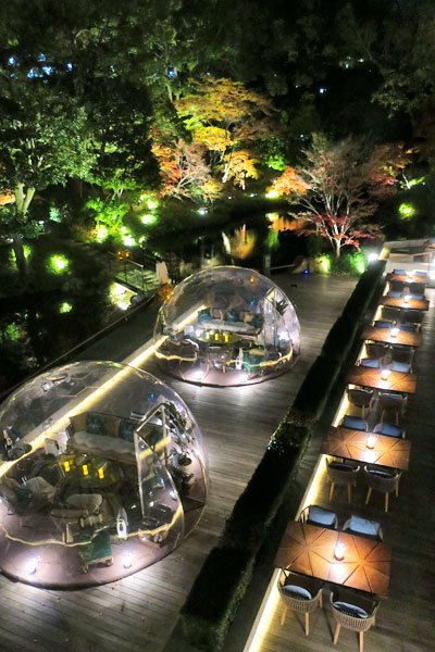 f:id:resoneko:20201224201343j:plain