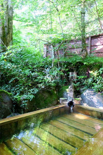 f:id:resoneko:20210726120505j:plain