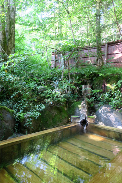 f:id:resoneko:20210819084544j:plain