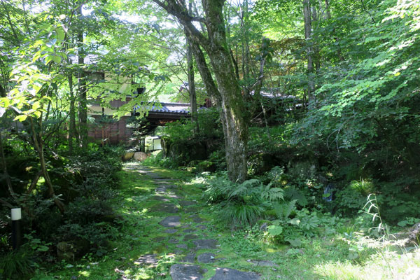 f:id:resoneko:20210819085104j:plain