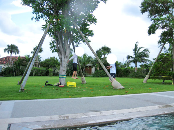 f:id:resoneko:20210916135539j:plain