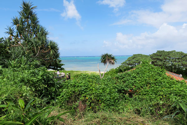 f:id:resoneko:20210923081616j:plain