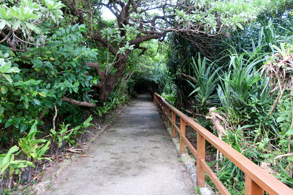 f:id:resoneko:20210923081634j:plain