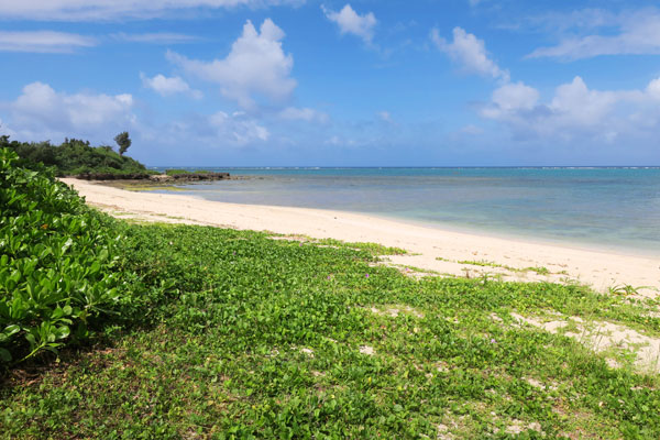 f:id:resoneko:20210923081713j:plain