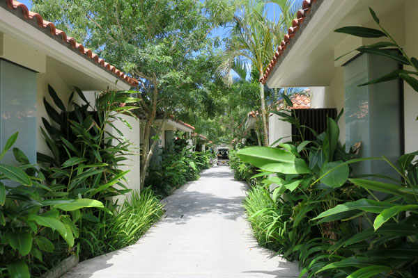 f:id:resoneko:20210925164546j:plain