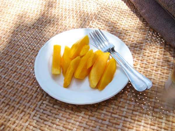 f:id:resoneko:20210925164934j:plain