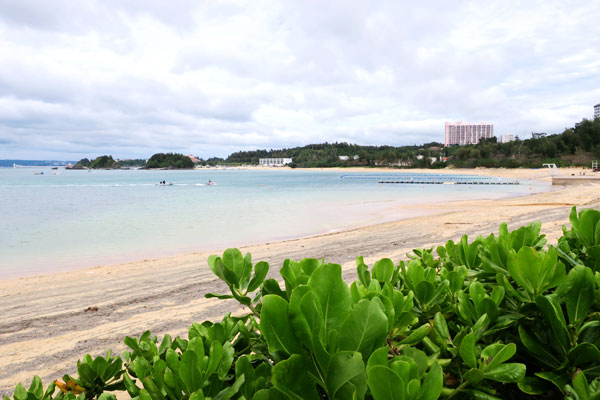 f:id:resoneko:20220411085232j:plain