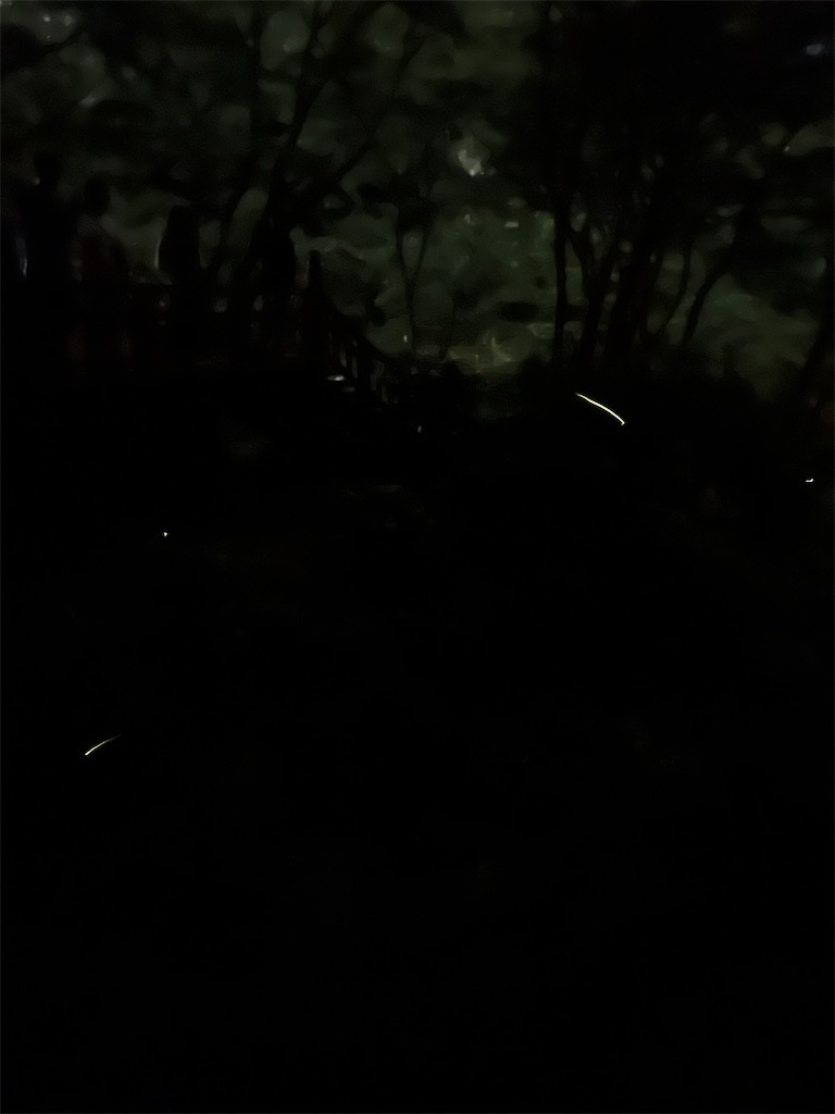 f:id:rest_of_life:20240602044933j:image