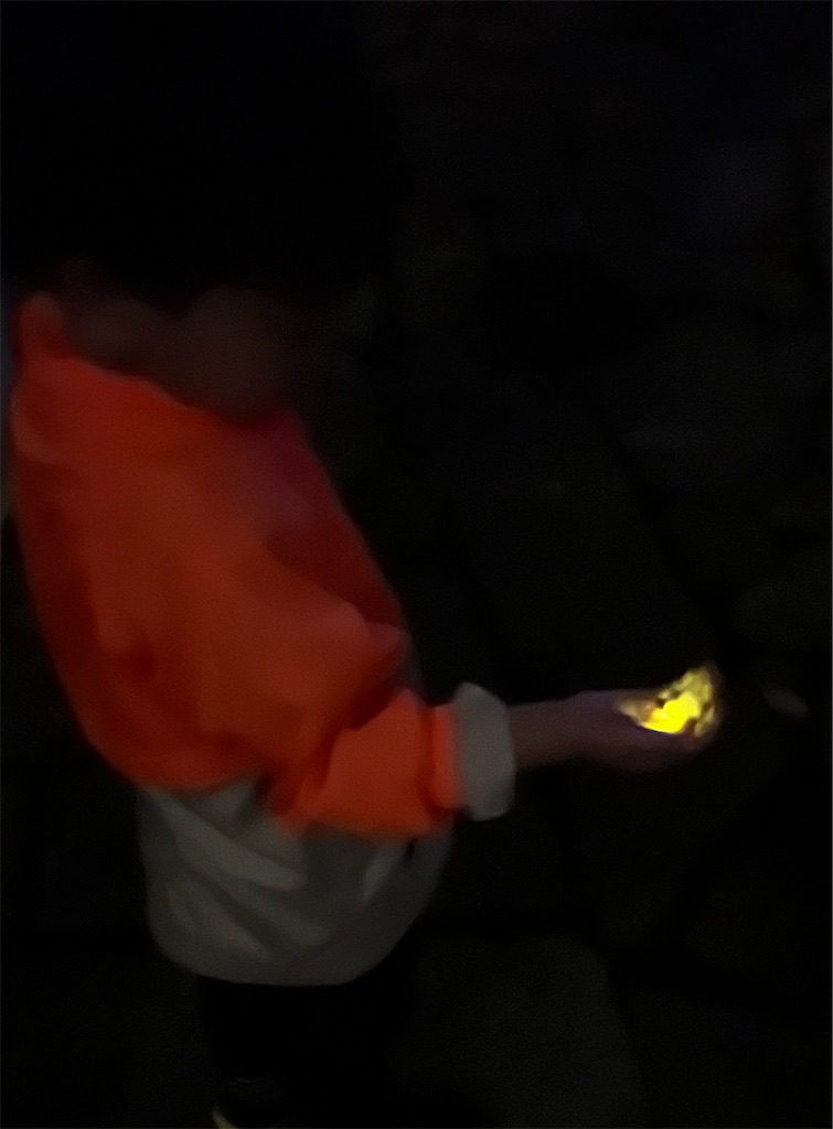 f:id:rest_of_life:20240602045851j:image