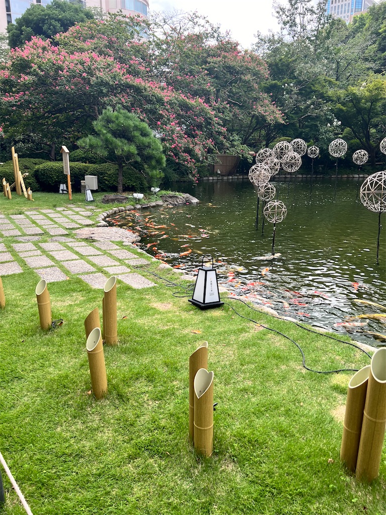 f:id:rest_of_life:20240829201158j:image