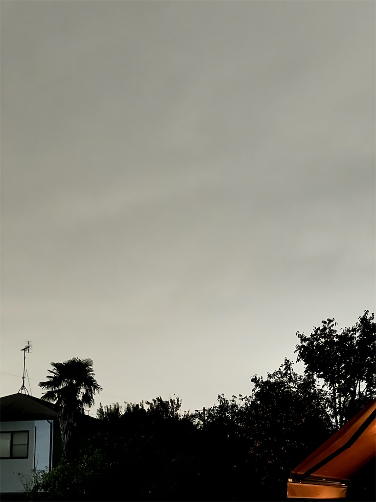 f:id:rest_of_life:20241023201236j:image