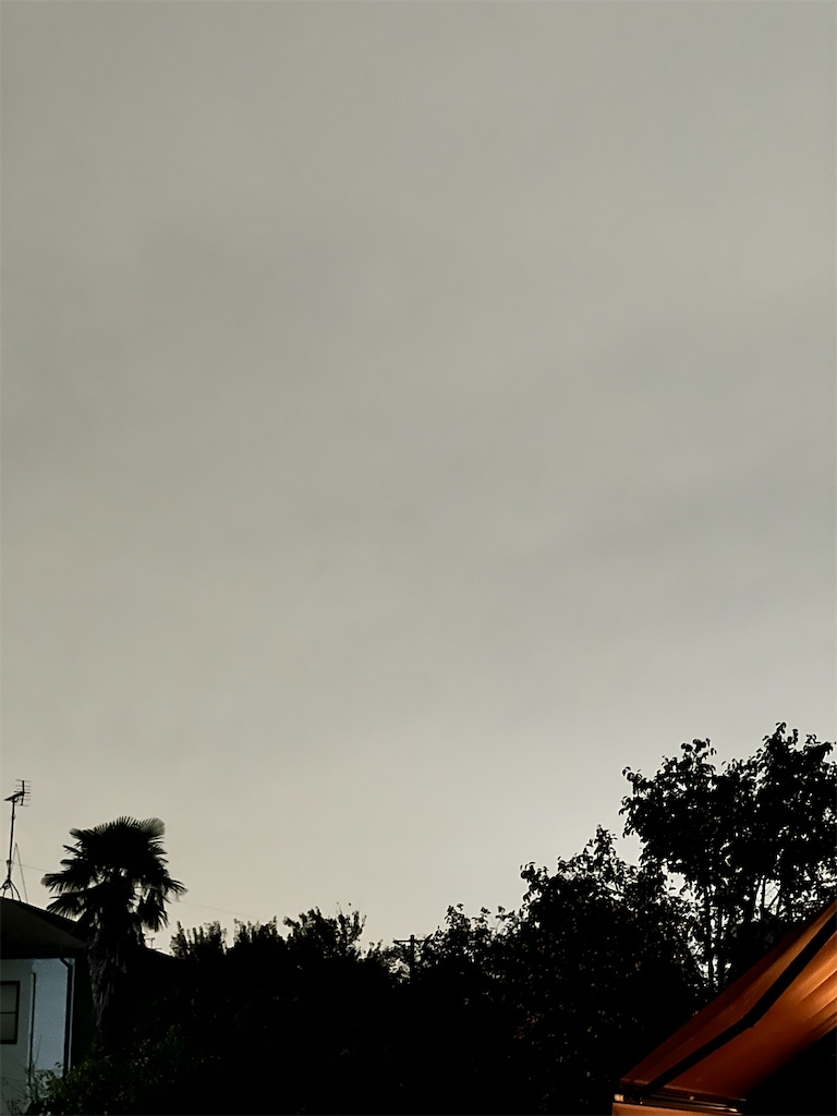 f:id:rest_of_life:20241023201250j:image
