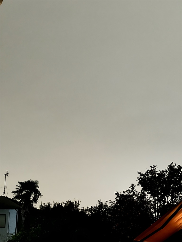 f:id:rest_of_life:20241023201254j:image