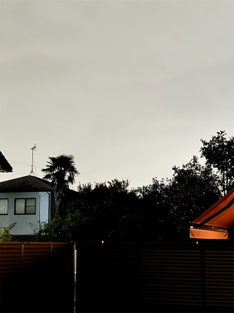 f:id:rest_of_life:20241023201257j:image