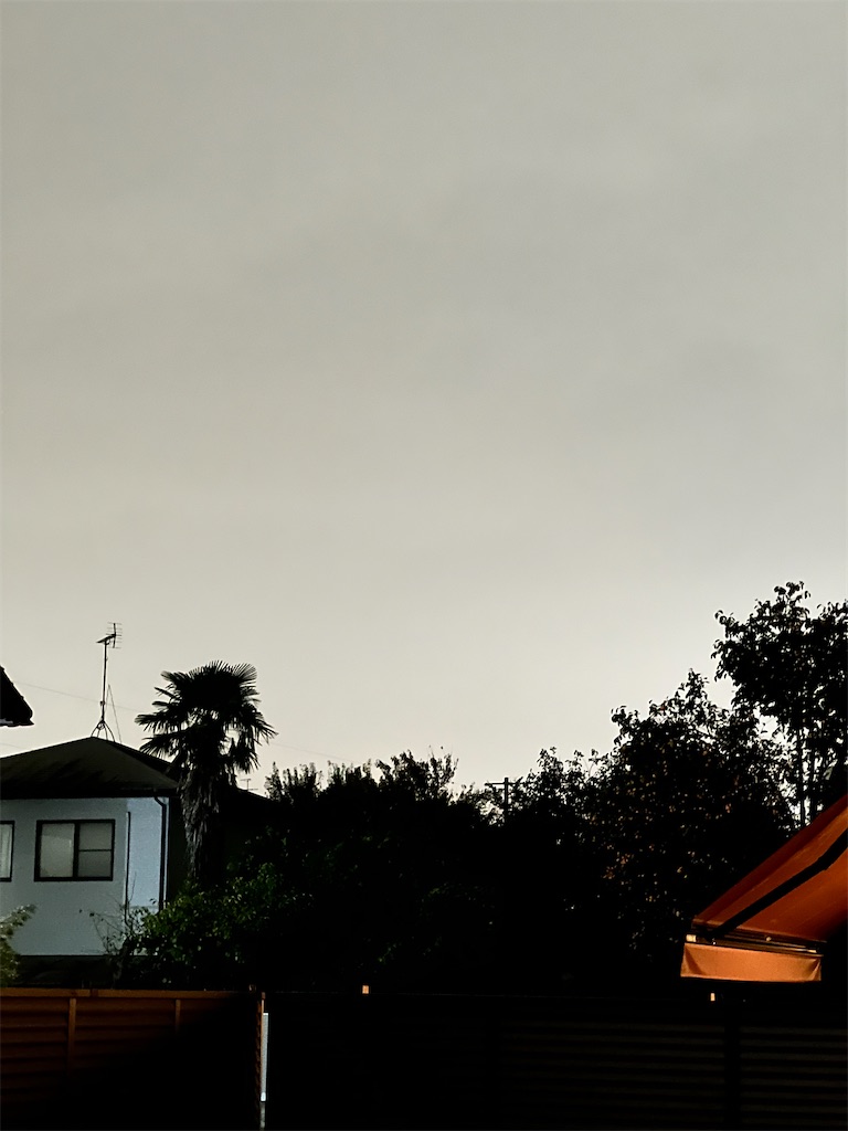 f:id:rest_of_life:20241023201307j:image