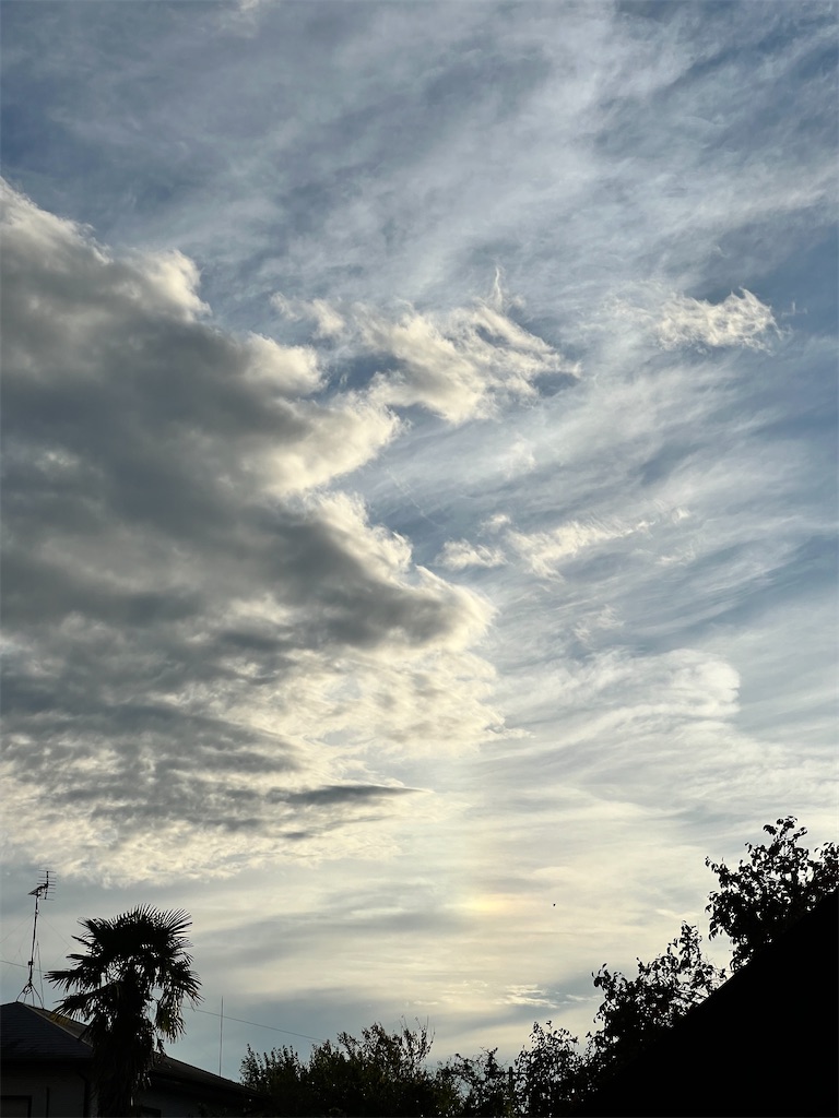 f:id:rest_of_life:20241030155735j:image